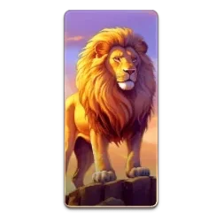 Lion
Safari
